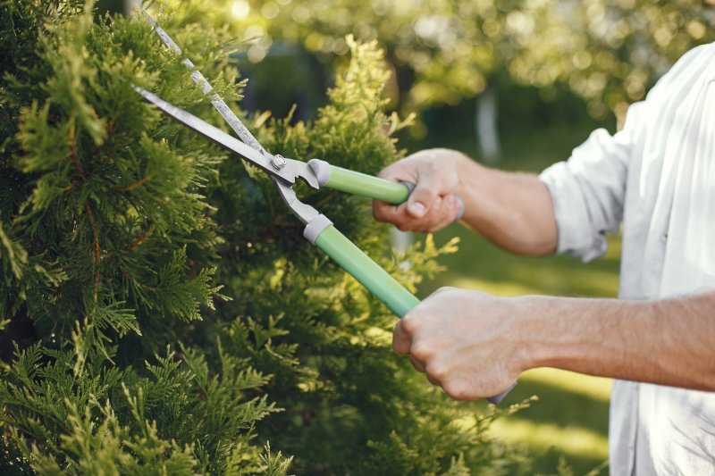 Mooie groene onderhoudsvriendelijke tuin
